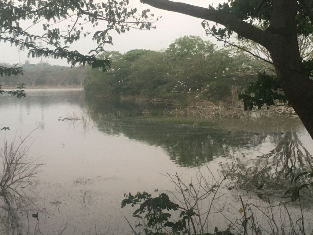 Kukkarahalli Lake